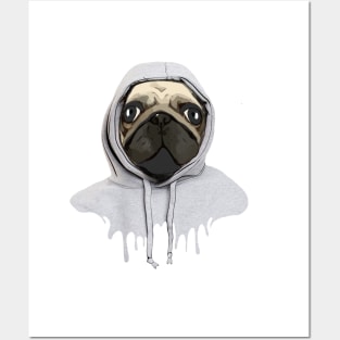 Pug, pug face and hooded sweatshirt, pug lovers, gift for pug lovers Posters and Art